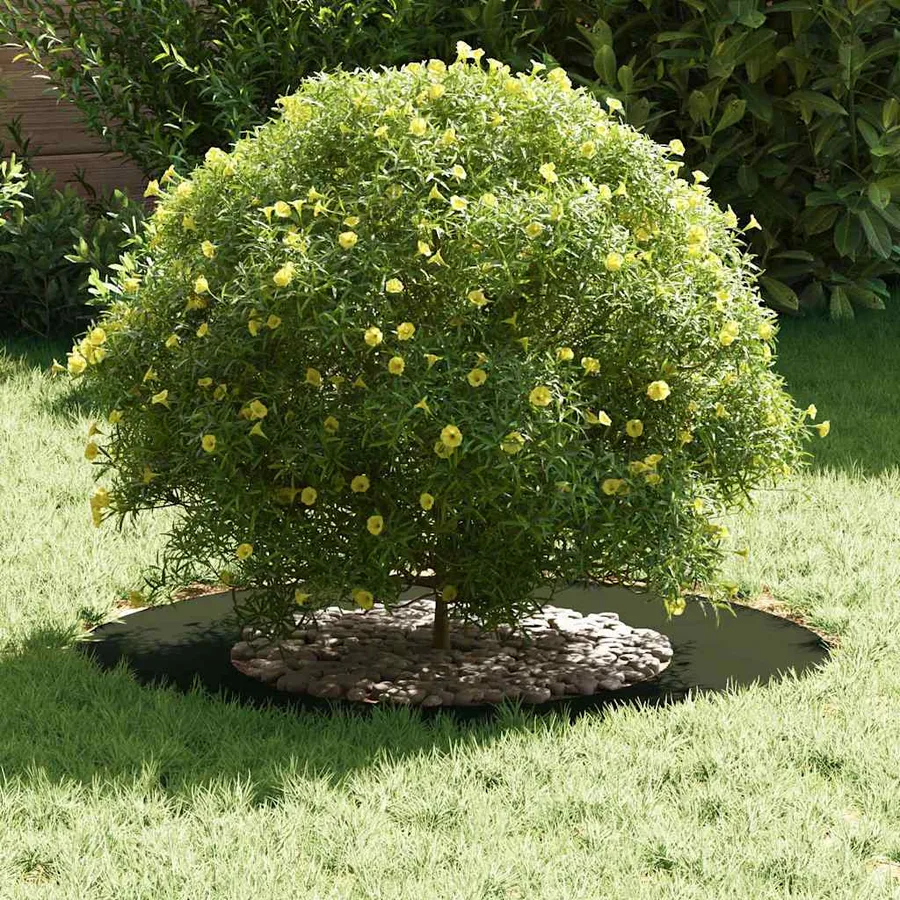 adapté pour anneaux d'arbre plats 5 pc Vert olive Ø40/70 cm - 3