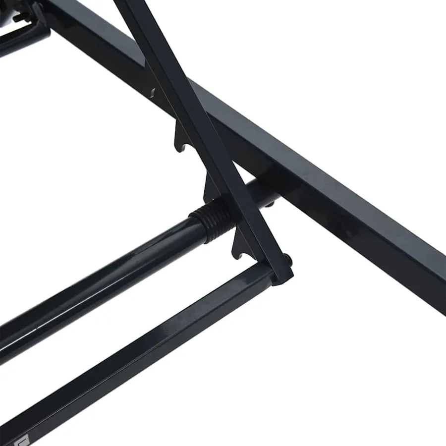 Transats 2-personne 3 pcs Noir et anthracite Acier - 10