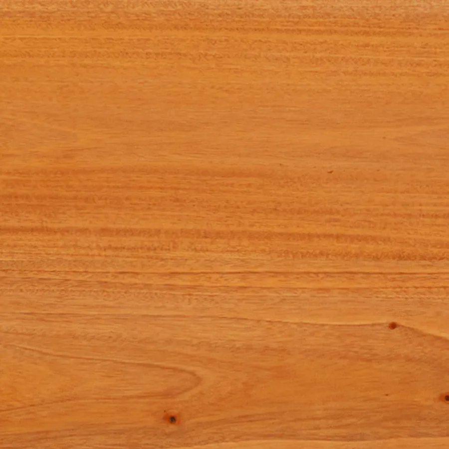 Meuble TV Naturel 100 x 40,5 x 46 cm Bois de Mahogany Massif - 11