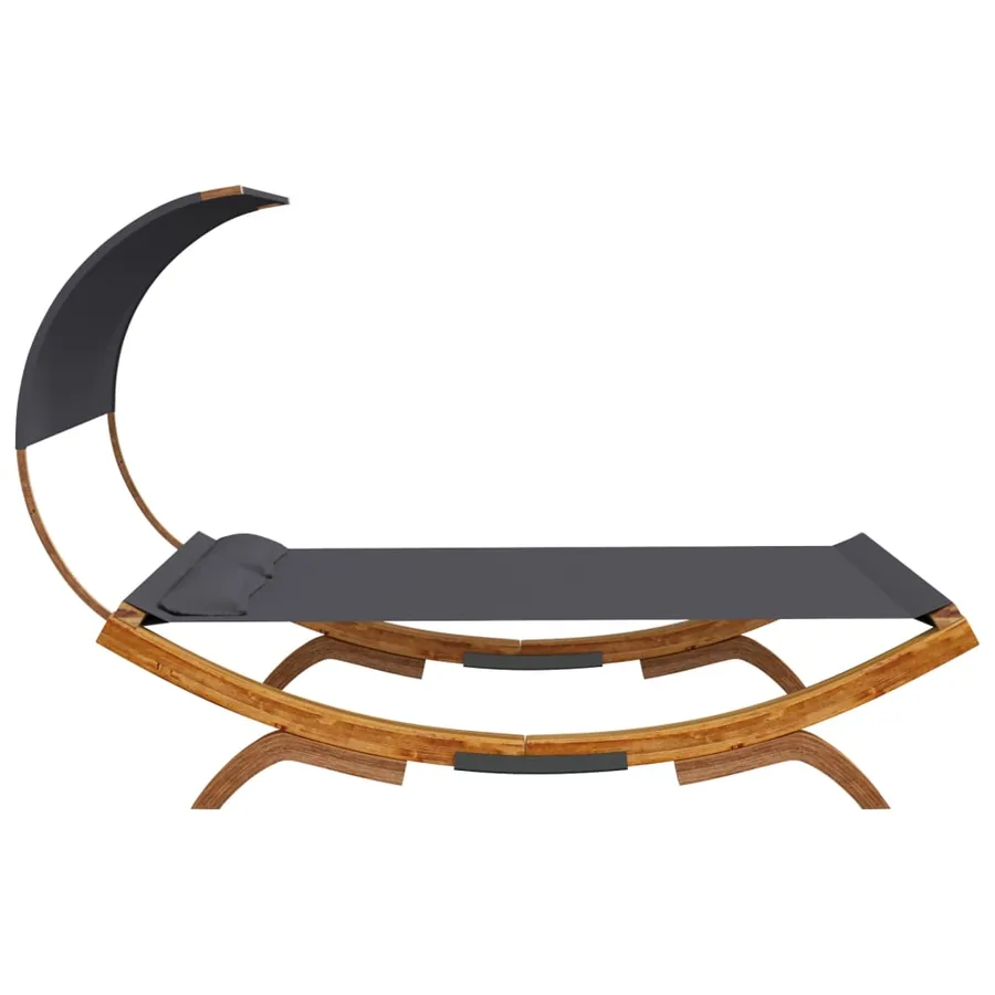 Daybed and Canopy 165x203x126 cm Bentwood Anthracite - 3