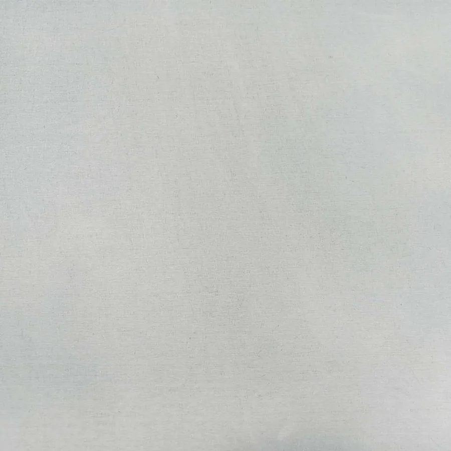 Écran de confidentialité de jardin Argenté 50 x 150 cm - 11