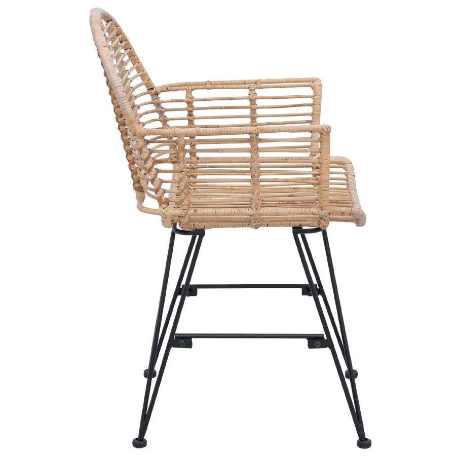 Chaise de salle à manger 2 pcs Rotin et métal Naturel - 6