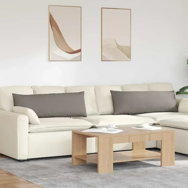 Coussins de canapé 2 pcs Taupe 120 x 40 cm tissu