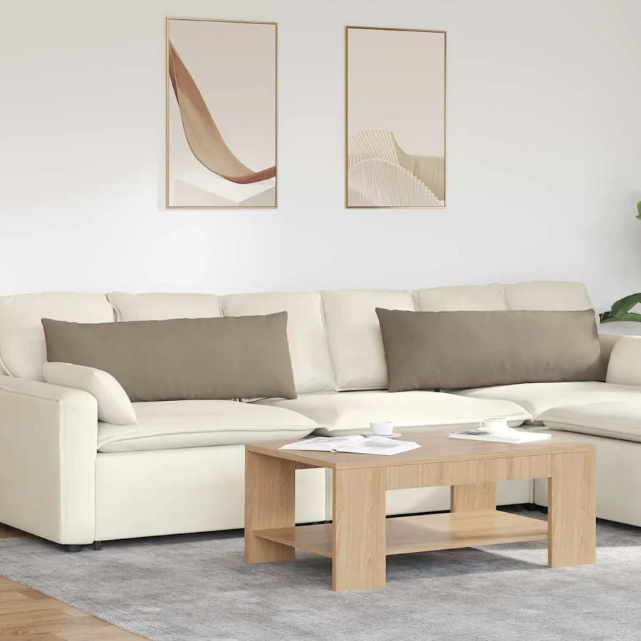 Coussins de canapé 2 pcs Taupe 120 x 40 cm tissu