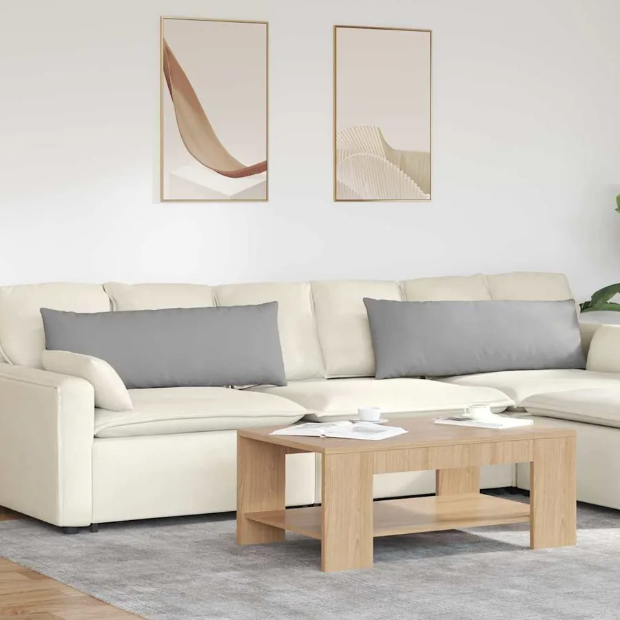 Coussins de canapé 2 pcs Gris nuage 120 x 40 cm tissu