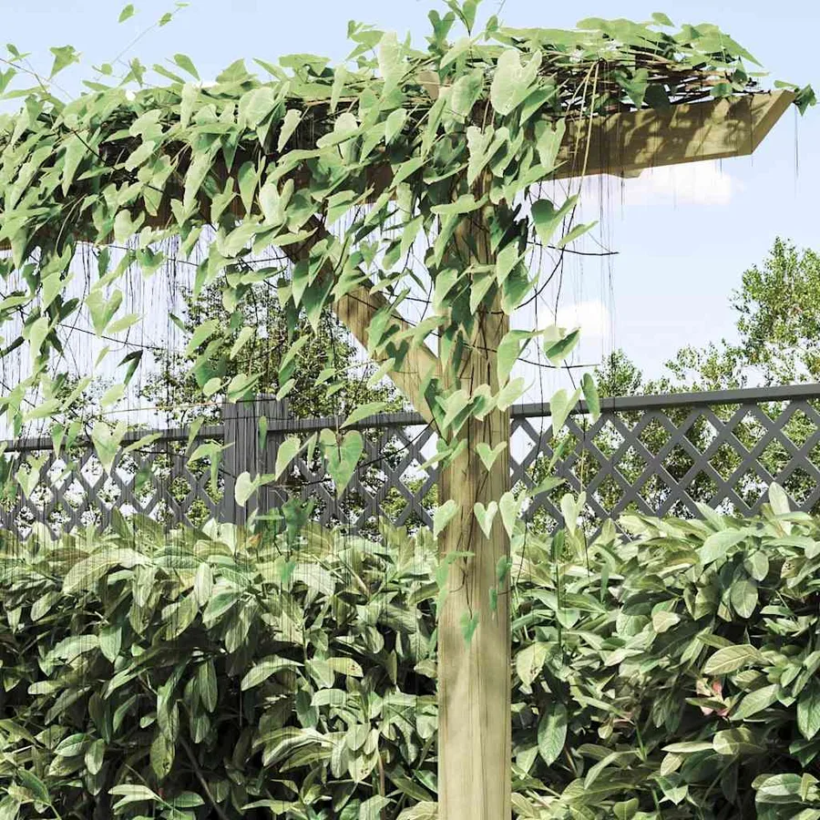 Pergola de jardin 410 x 40 x 203 cm Bois - 4