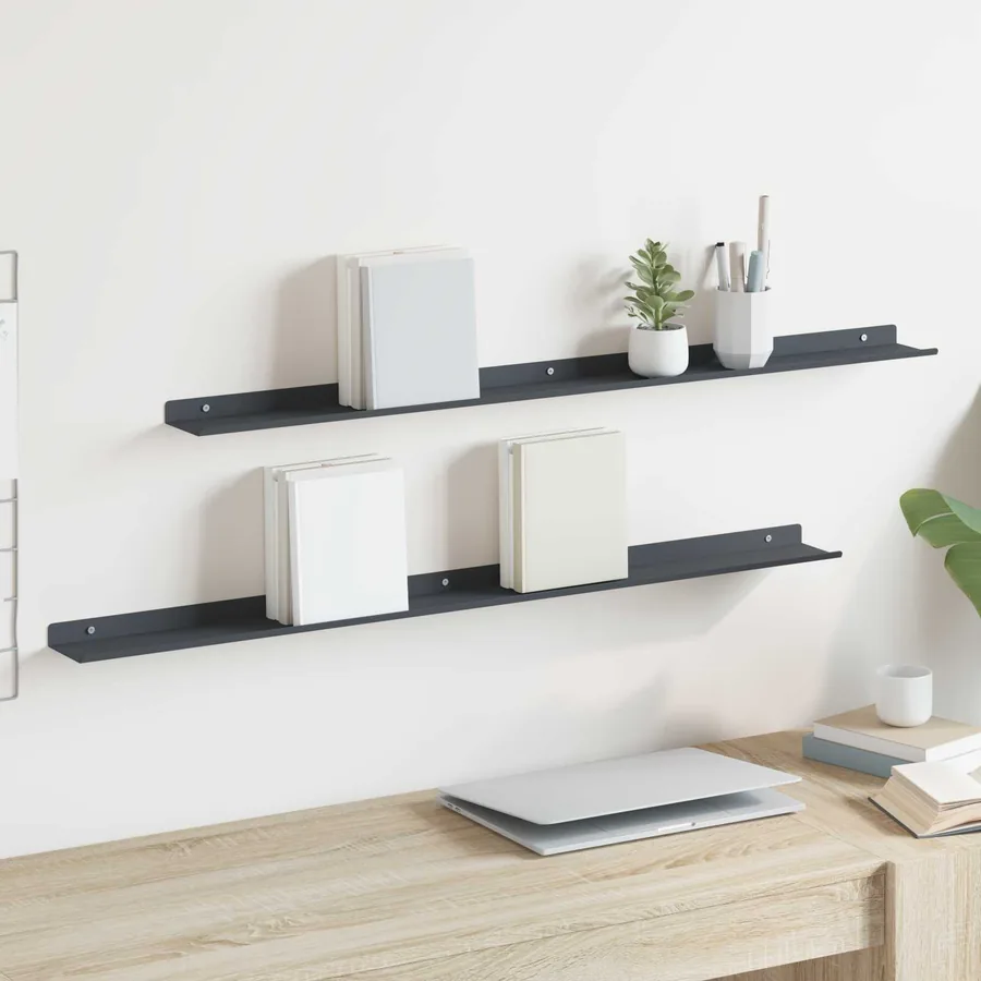 Étagère flottante 2 pcs Anthracite 100 x 9 x 2,5 cm Acier