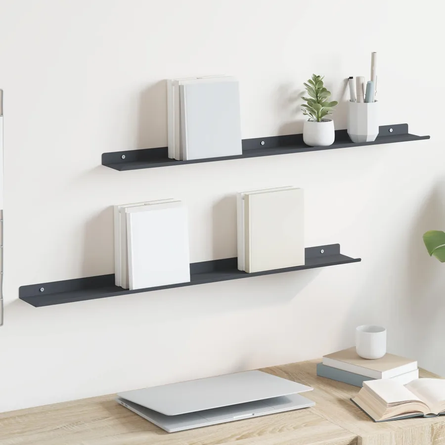 Étagère flottante 2 pcs Anthracite 80 x 9 x 2,5 cm Acier