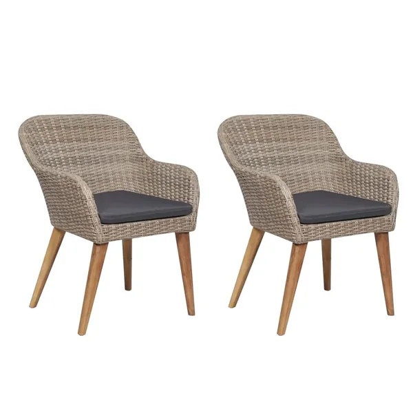 Chaises d'extérieur et coussins lot de 2 Résine tressée Marron