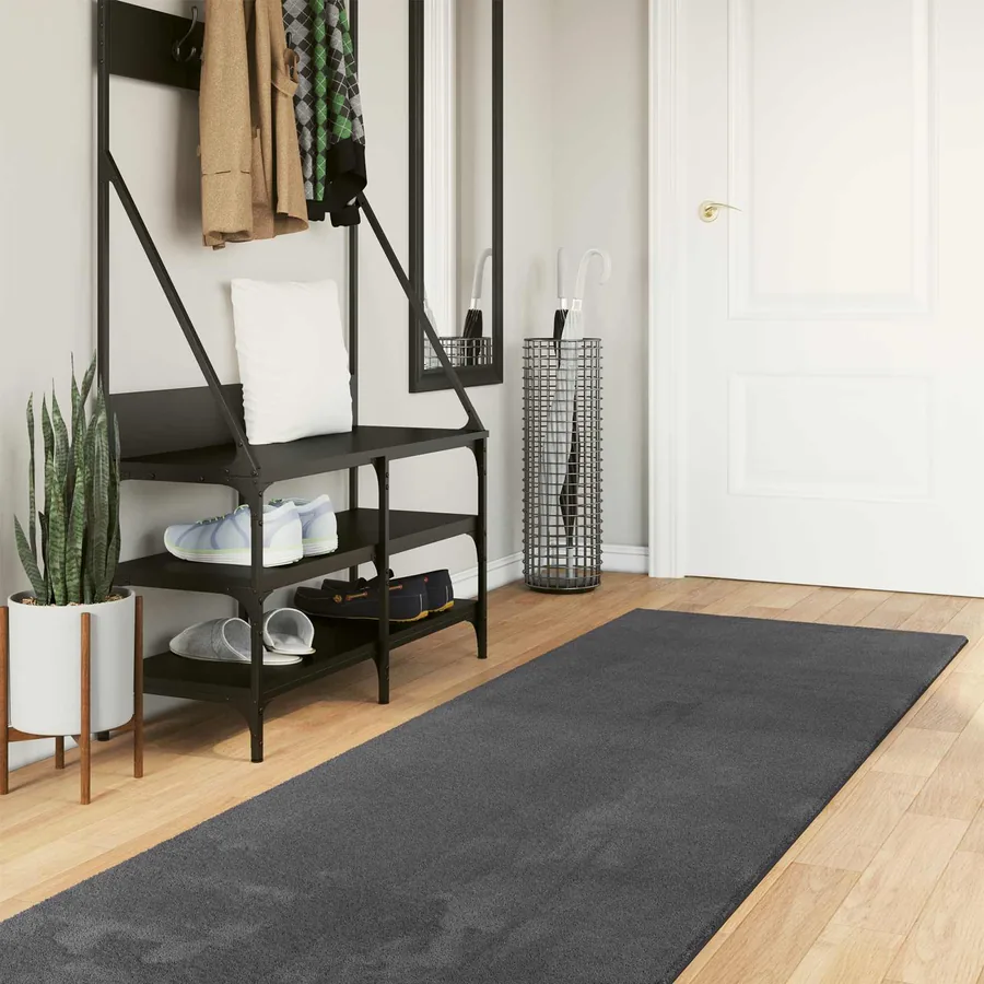 Tapis doux à poils moyens et lavable HUARTE Anthracite