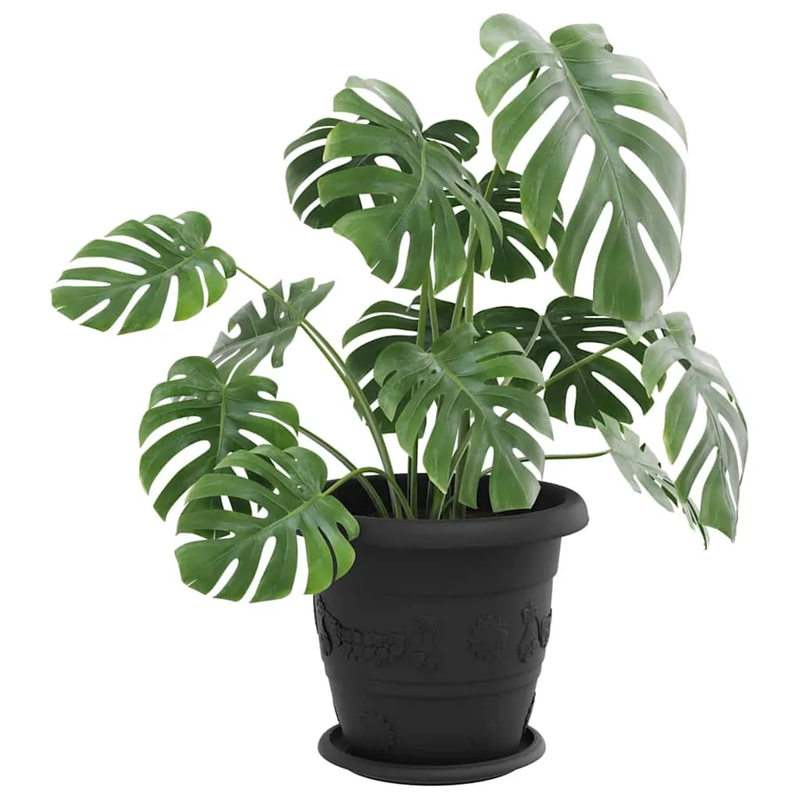 Plateau à fleurs rond 6 pcs Noir Ø 19 x 2 cm Plastique - 3