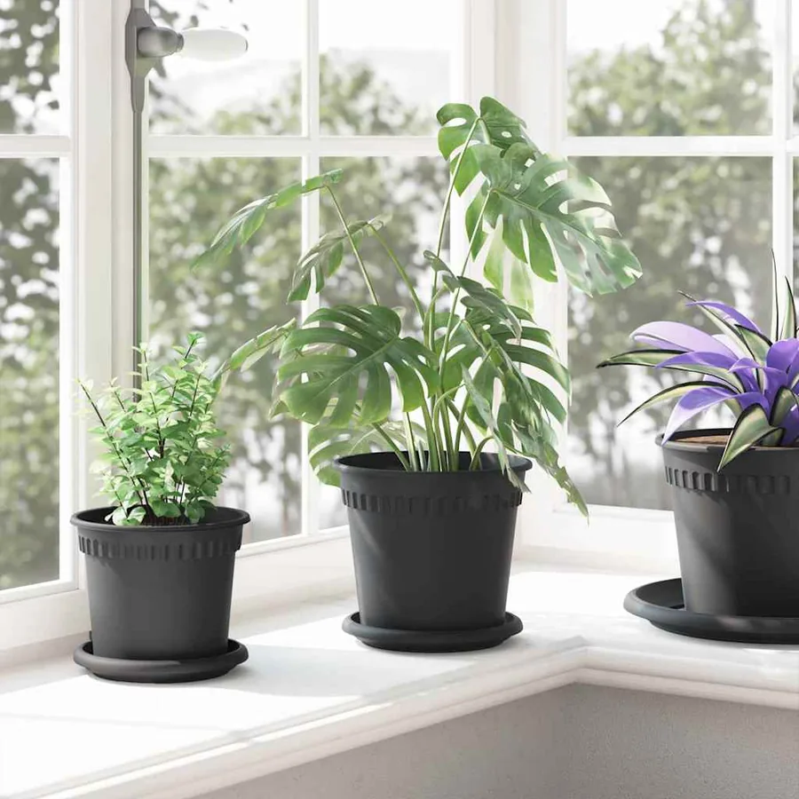 Plateau à fleurs rond 24 pcs Noir Ø 15,5 x 2 cm Plastique - 4