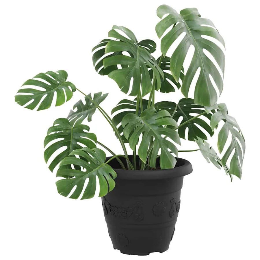 Pot à fleurs rond 6 pcs Noir Ø 26 x 21,5 cm Plastique - 3