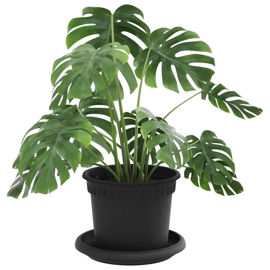 Pots de plantes 24 pcs Noir Ø 12,5 x 10 cm Plastique - 3