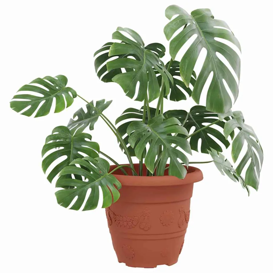 Pot à fleurs rond 6 pcs Rouge brique Ø 22 x 18 cm Plastique - 3