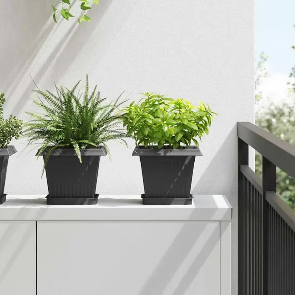 Pot de Fleurs Carré 6 pcs Noir 20 x 20 x 16 cm Plastique