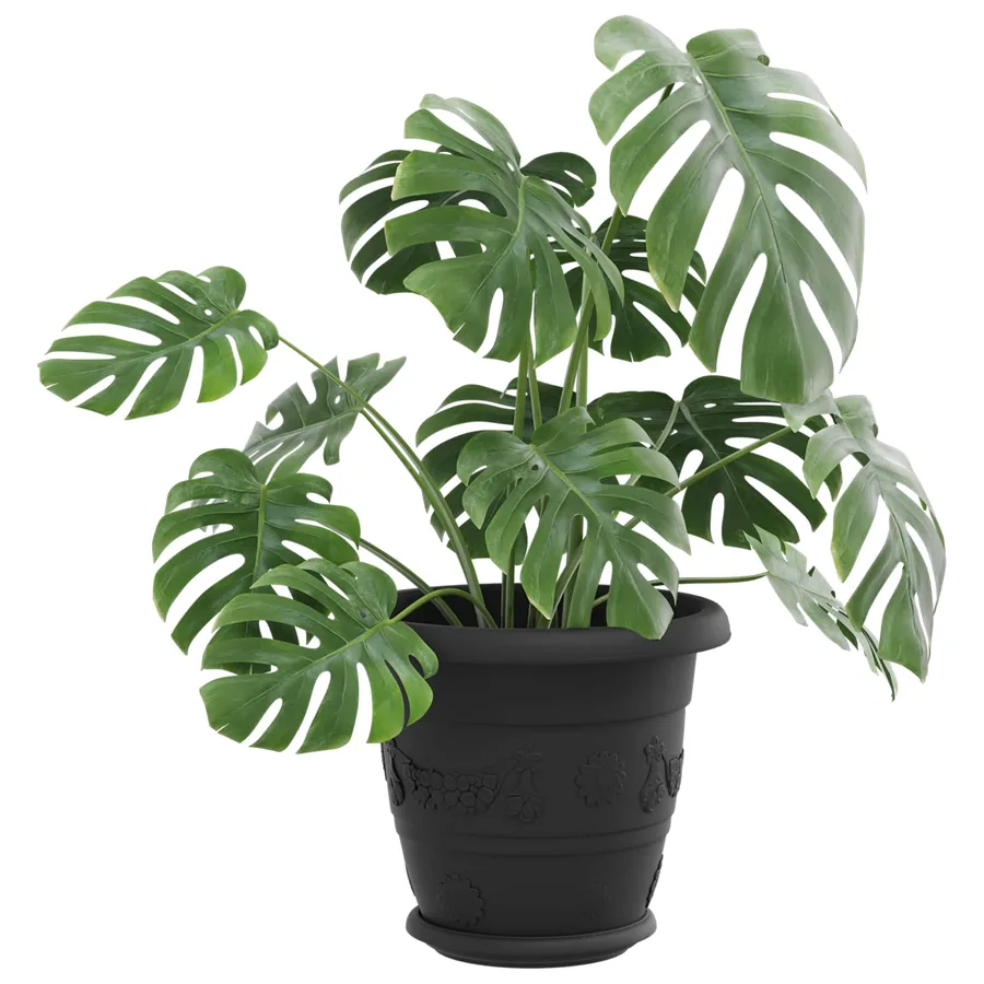 Pots de plantes 24 pcs Noir Ø 22 x 18 cm Plastique - 3