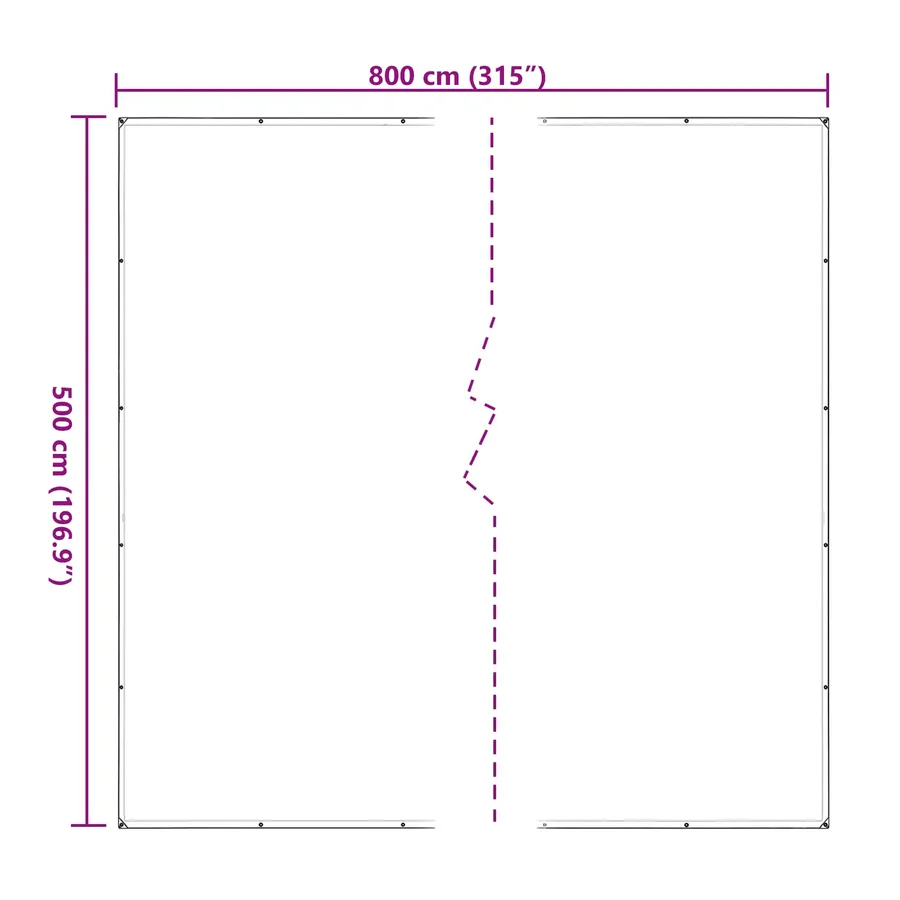 Couverture pour plantes Transparent 5 x 8 m PE - 10