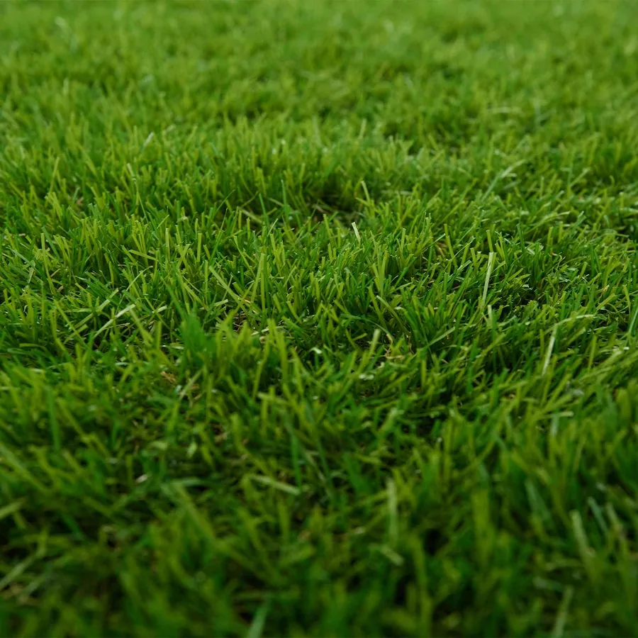 Gazon artificiel Vert 1 x 8 m / 50 mm PP & PE - 9