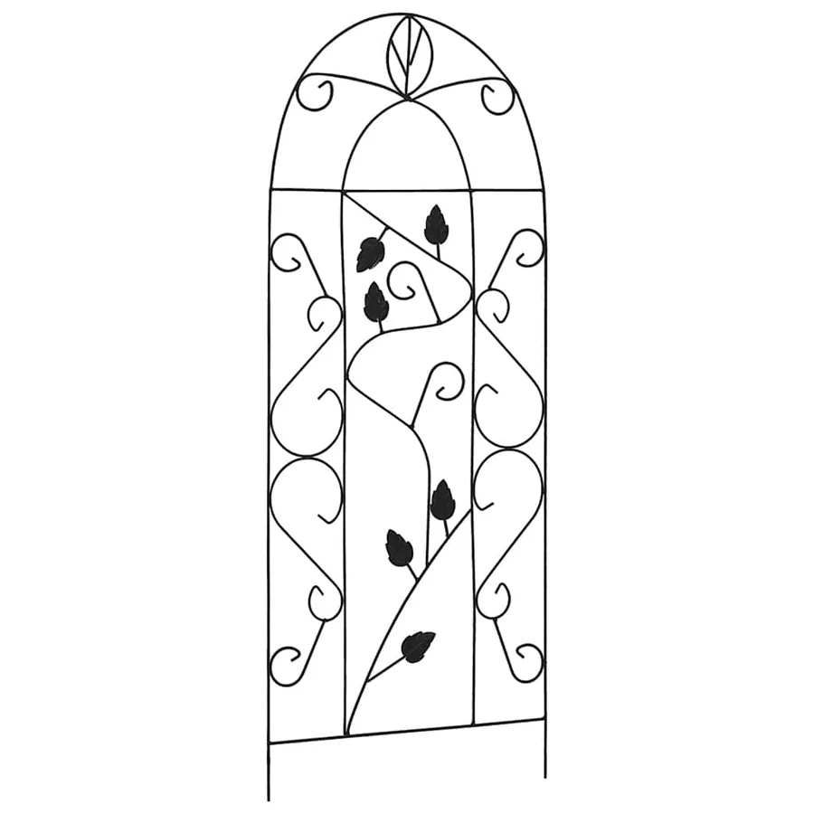 Supports pour plantes grimpantes 3 pcs Noir 40x100 cm Fer - 2