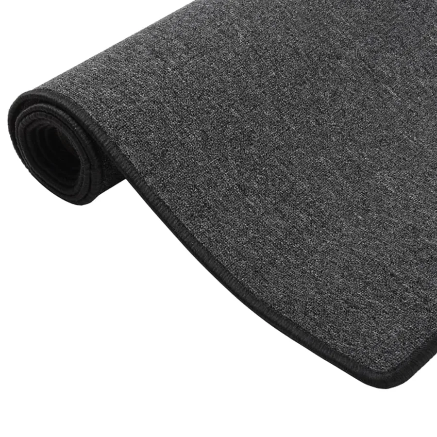 Tapis de couloir Anthracite 50x300 cm - 2