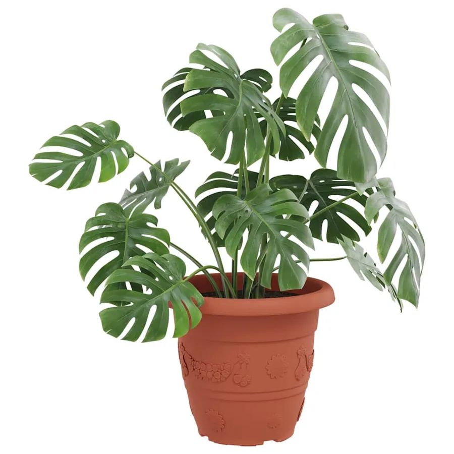 Pot à fleurs rond 24 pcs Rouge brique Ø 39 x 32 cm Plastique - 3