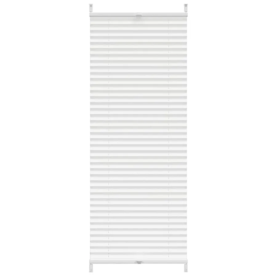 Store plissé 60x100 cm Blanc - 2