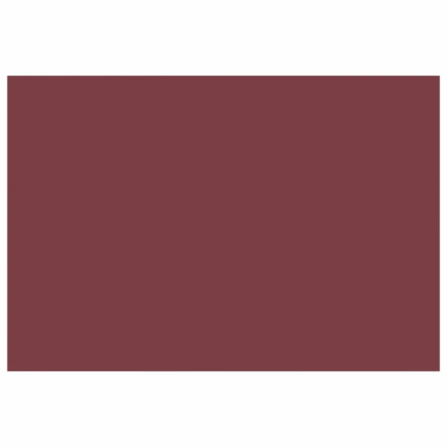 Toile de rechange pour auvent Rouge bordeaux 500 × 300 cm - 3