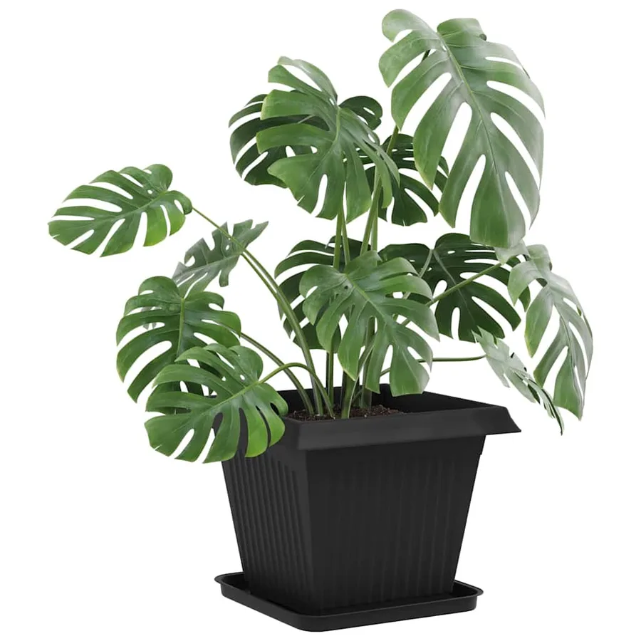 Pots de plantes 24 pcs Noir 38 x 38 x 30 cm Plastique - 3