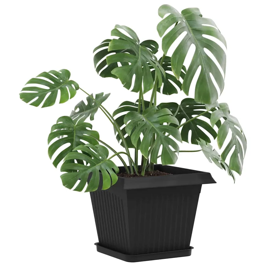 Plateau carré à fleurs 6 pcs Noir 21 x 21 x 2 cm Plastique - 3