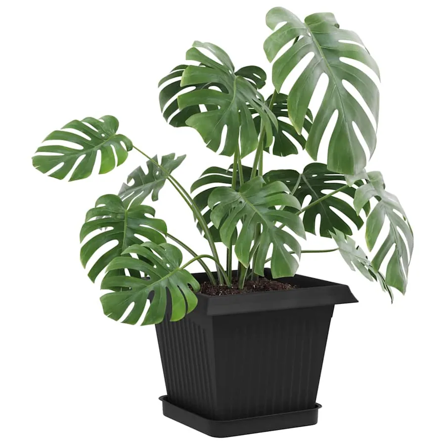 Pots de plantes 6 pcs Noir 20 x 20 x 16 cm Plastique - 3