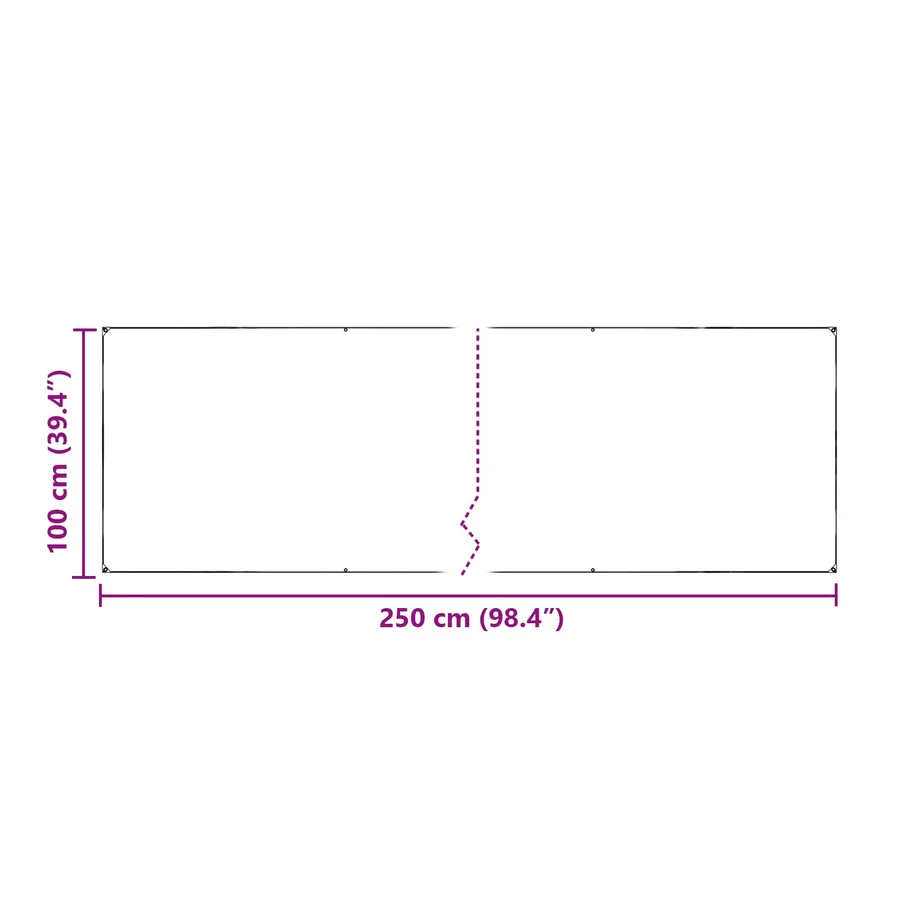 Couverture pour plantes Transparent 2,5 x 1 m PE - 10