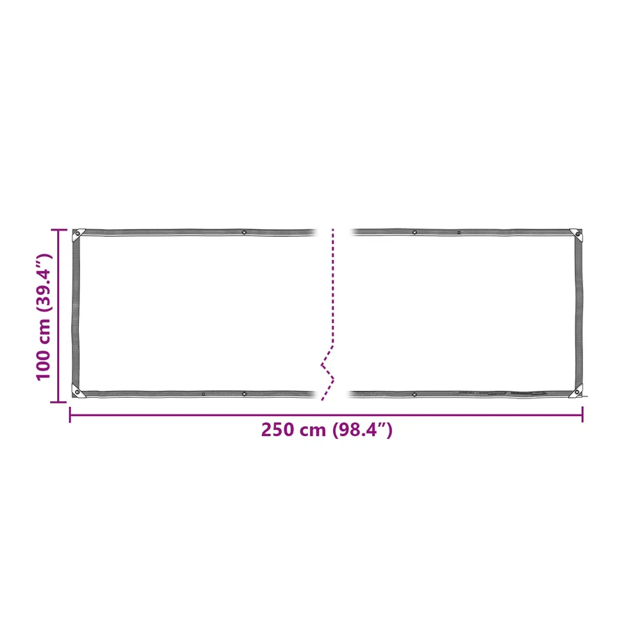Couverture pour plantes Transparent 2,5 x 1 m PE - 10