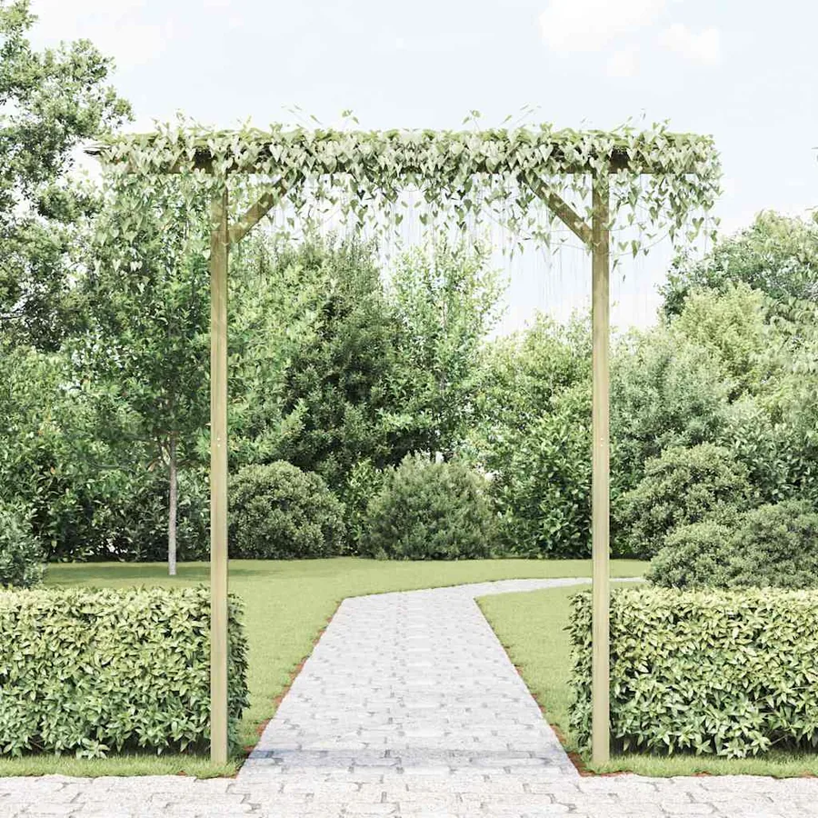 Pergola de jardin 205 x 40 x 203 cm Bois