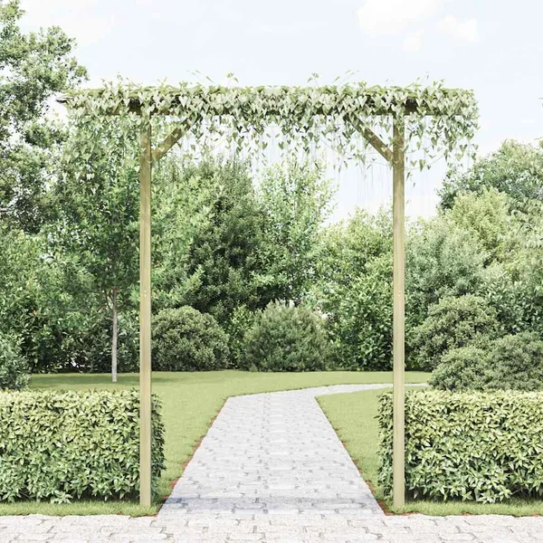 Pergola de jardin 205 x 40 x 203 cm Bois