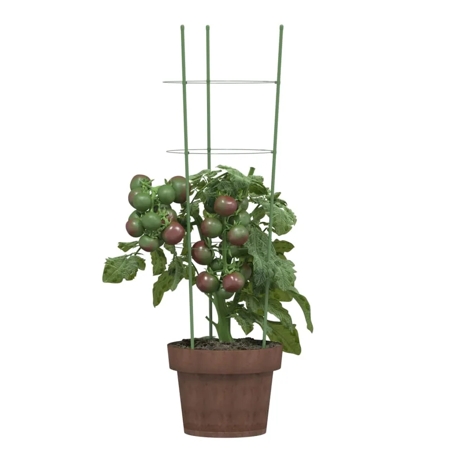 Supports pour plantes de jardin 3 anneaux 5pcs Vert 60 cm Acier - 3