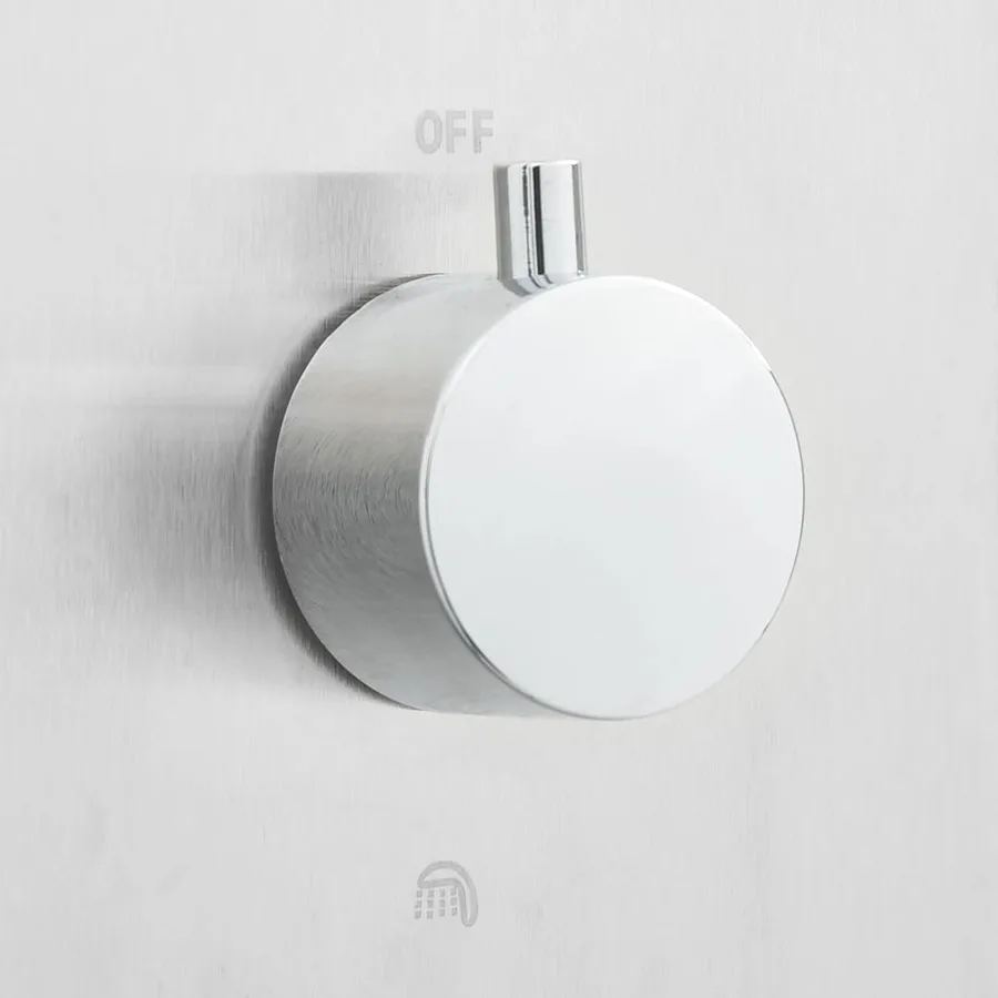 Douche d'extérieur avec receveur de douche WPC Acier inoxydable - 7