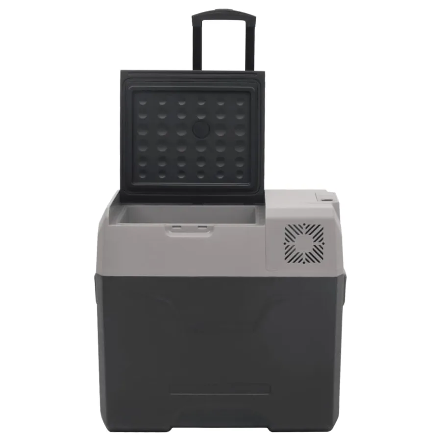 Glacière avec roue et adaptateur noir et gris 40L polypropylène - 6