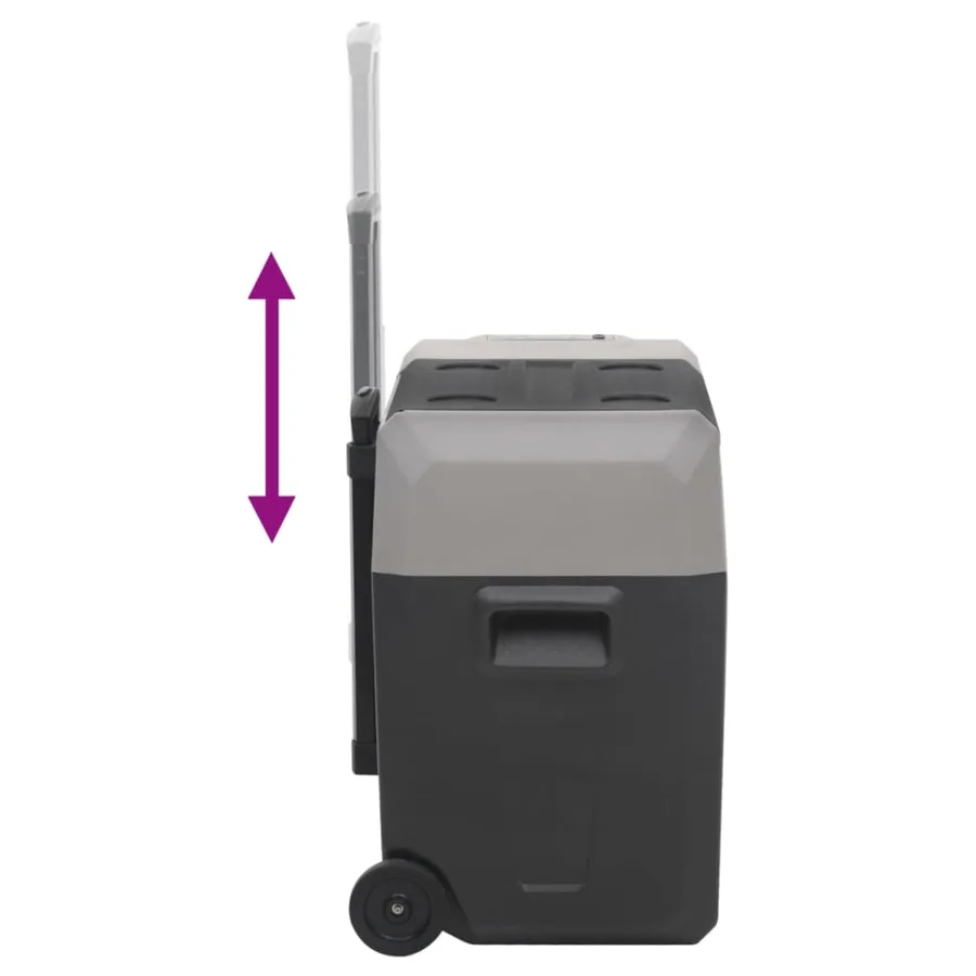 Glacière avec roue et adaptateur noir et gris 40L polypropylène - 8