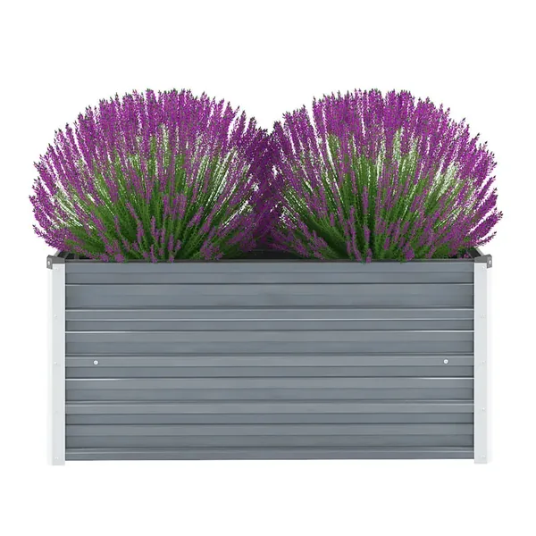 Lit surélevé de jardin Acier galvanisé 100x40x45 cm Gris