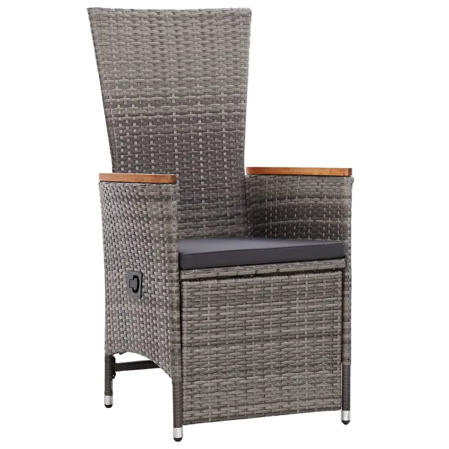 Chaise inclinable de jardin 2pc et coussins Résine tressée Gris - 2