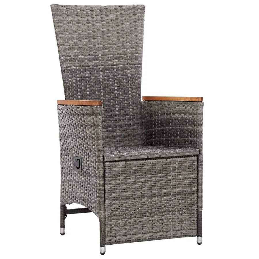 Chaise inclinable de jardin 2pc et coussins Résine tressée Gris - 3