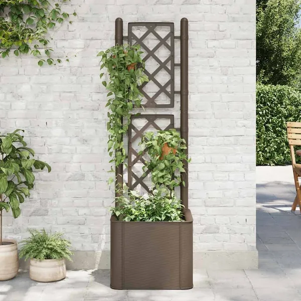 Lit surélevé de jardin et treillis et système d'arrosage Moka
