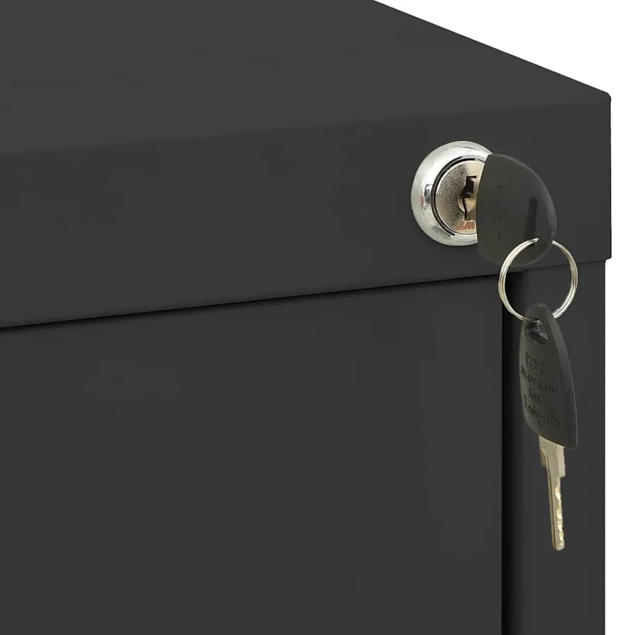 Classeur Anthracite 46x62x102,5 cm Acier - 6