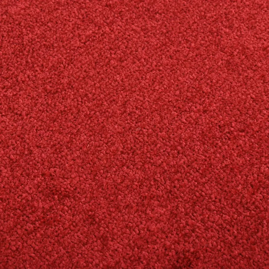 Paillasson Rouge 40x60 cm - 5