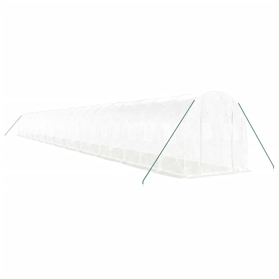 Serre avec cadre en acier blanc 48 m² 24x2x2 m - 3
