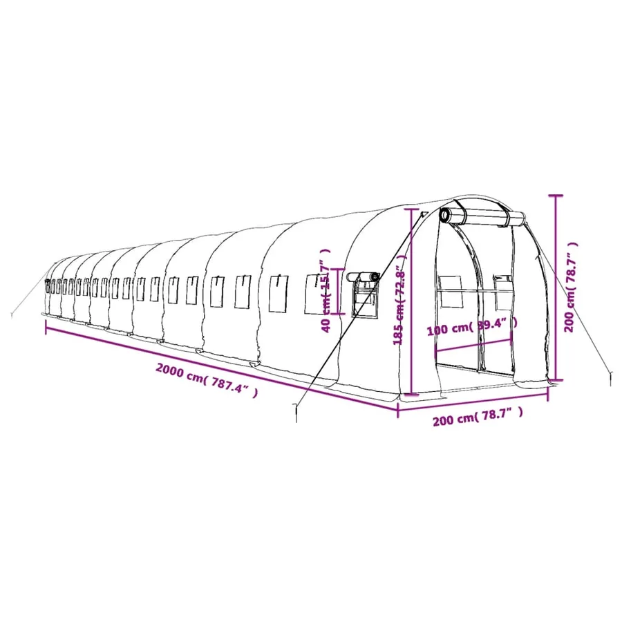 Serre avec cadre en acier vert 40 m² 20x2x2 m - 12