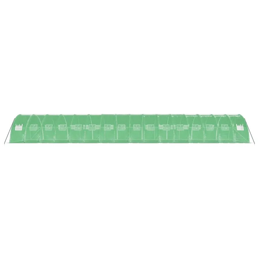 Serre avec cadre en acier vert 64 m² 16x4x2 m - 5