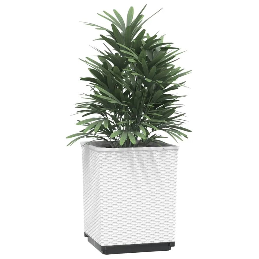 Jardinières 4 pcs blanc 30x30x37 cm polypropylène - 3