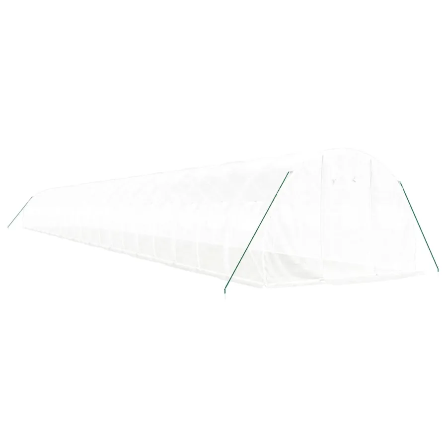 Serre avec cadre en acier blanc 66 m² 22x3x2 m - 3